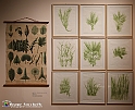 VBS_1317 - Castello di Miradolo - Mostra Oltre il giardino l'Abbecedario di paolo Pejrone